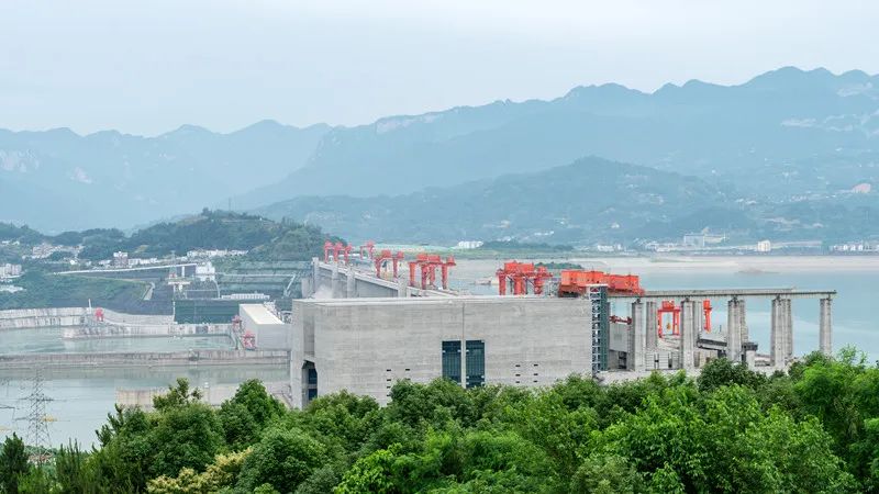 亚洲精品久久久久中文字幕二区